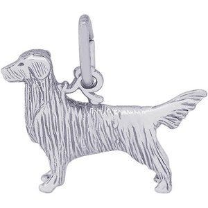 DOG RETRIEVER