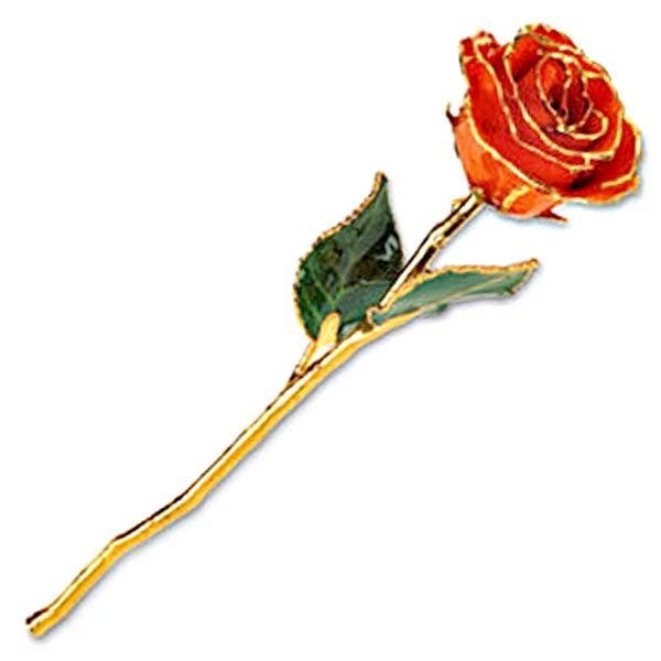 Lacquered Orange Rose