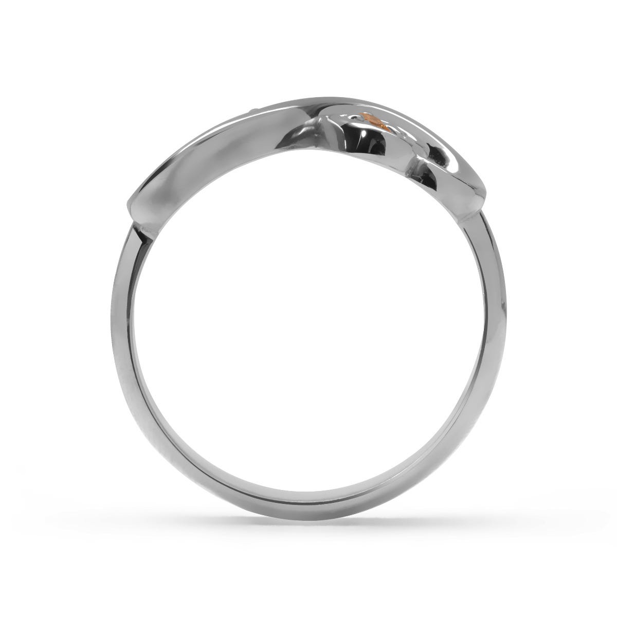 Two Hearts Infinity Birthstone Ring