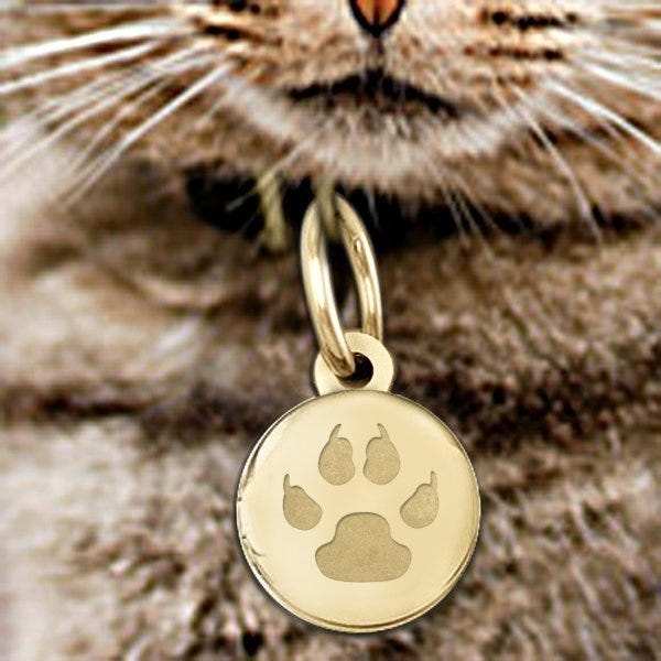 Cat's Paw Print Round Picture Locket