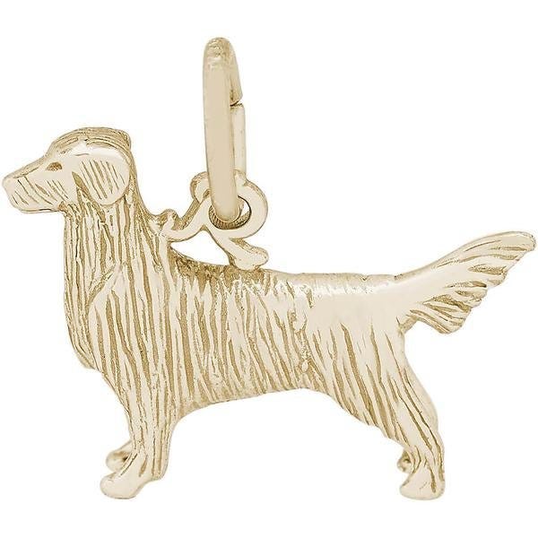 DOG RETRIEVER