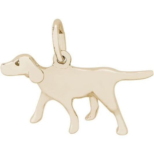 DOG RETRIEVER