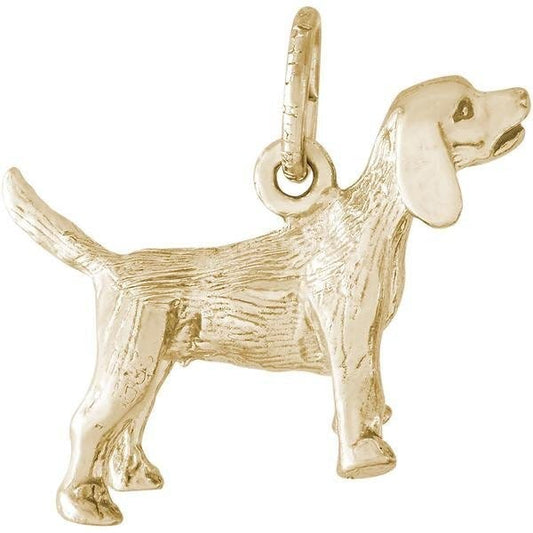 DOG BEAGLE