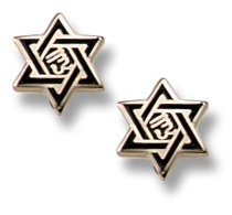 14K Yellow Gold Star of David Enameled Children Post Earrings