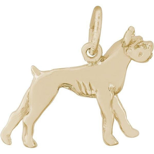 DOG BOXER