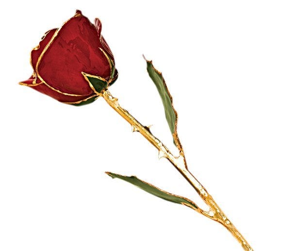 Lacquered Red Rose