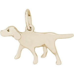 DOG RETRIEVER
