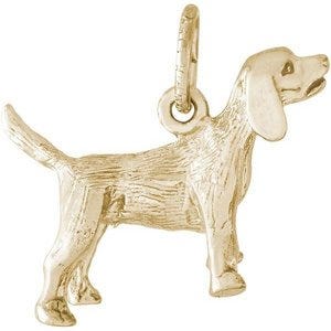 DOG BEAGLE