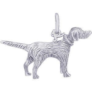 DOG SETTER
