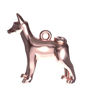 Basenji Dog