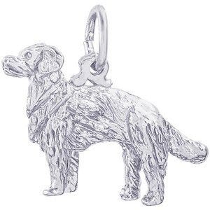 DOG GOLDEN RETRIEVER
