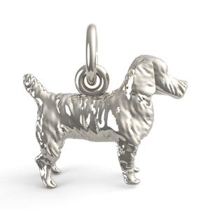 Jack Russell Terrier Dog