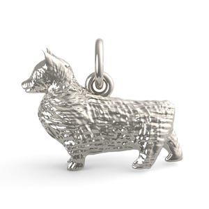 Pembroke Dog (2066)