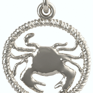 Cancer Crab Charm(4776)