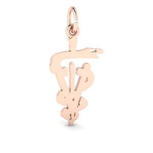 7934-Silver-Veterinarian