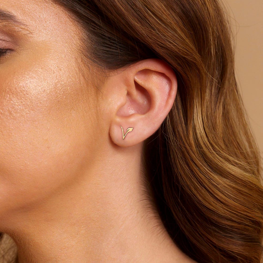 Pair Of Vegan Stud Earring
