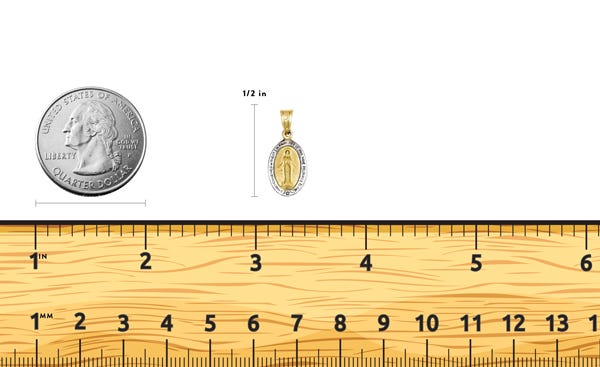 14K Yellow Gold with Rhodium Miraculous Medal Charm