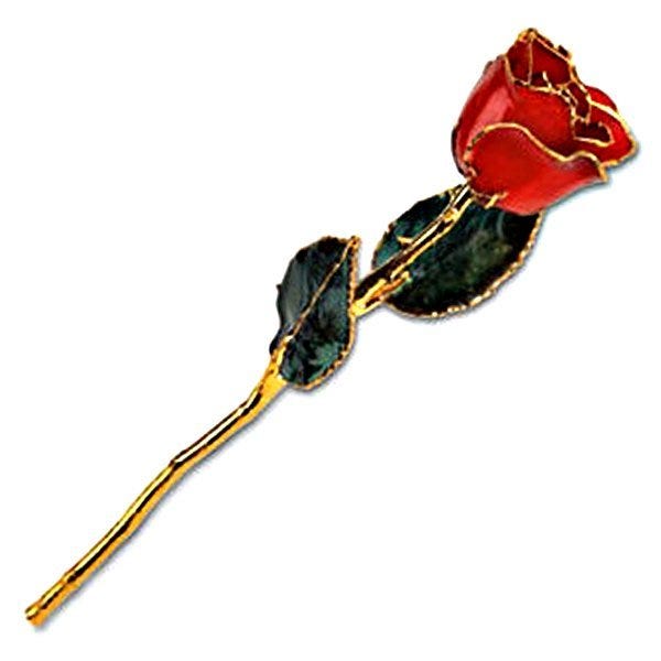 Lacquered Red Rose