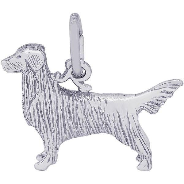 DOG RETRIEVER