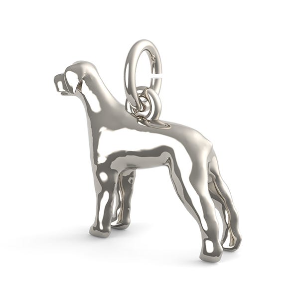 Rottweiler Dog Charm
