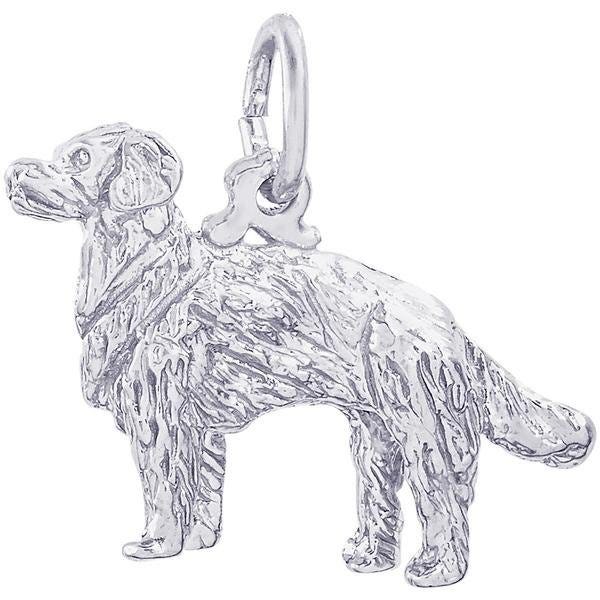 DOG GOLDEN RETRIEVER