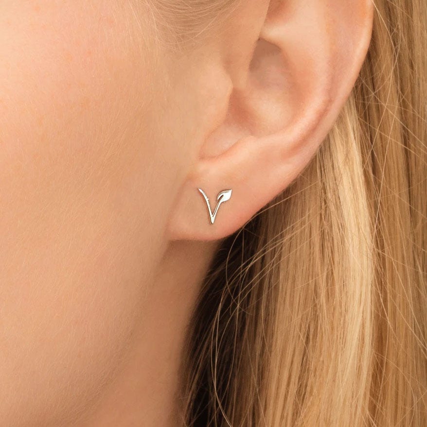 Pair Of Vegan Stud Earring