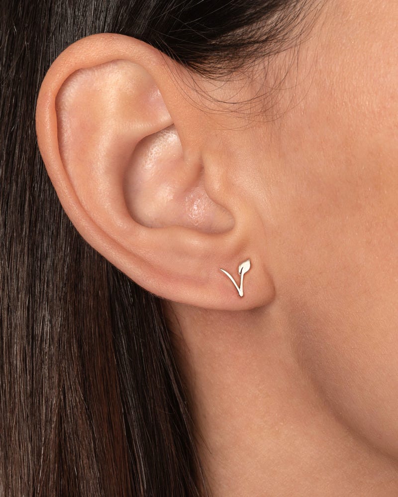 Pair Of Vegan Stud Earring