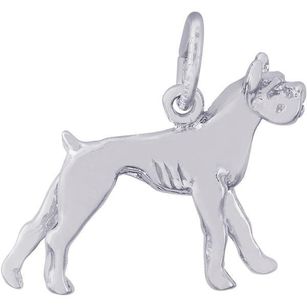 DOG BOXER