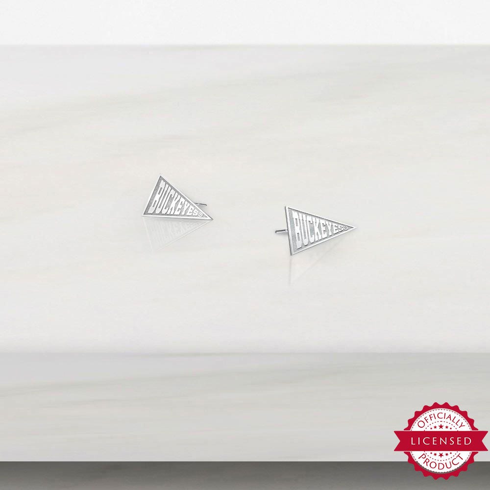Pair Of Buckeyes Flag Earrings