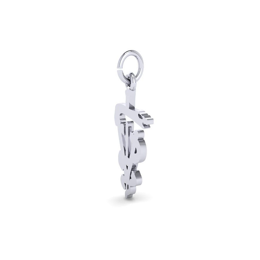 7934-Silver-Veterinarian
