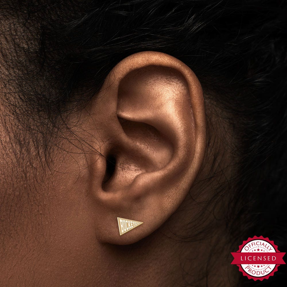 Pair Of Buckeyes Flag Earrings