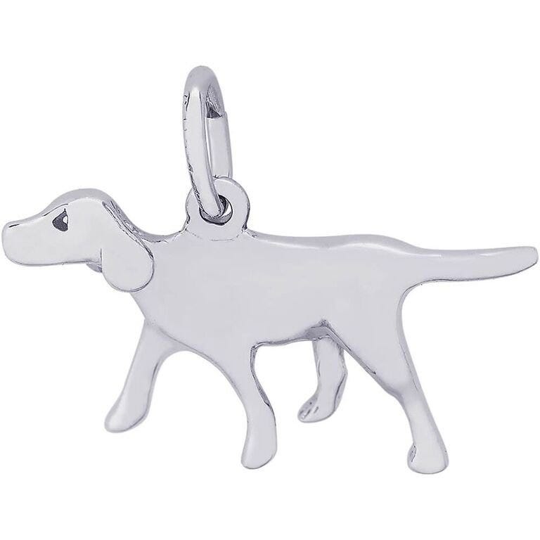 DOG RETRIEVER