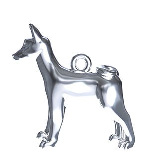 Basenji Dog