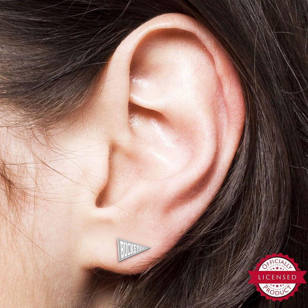 Pair Of Buckeyes Flag Earrings