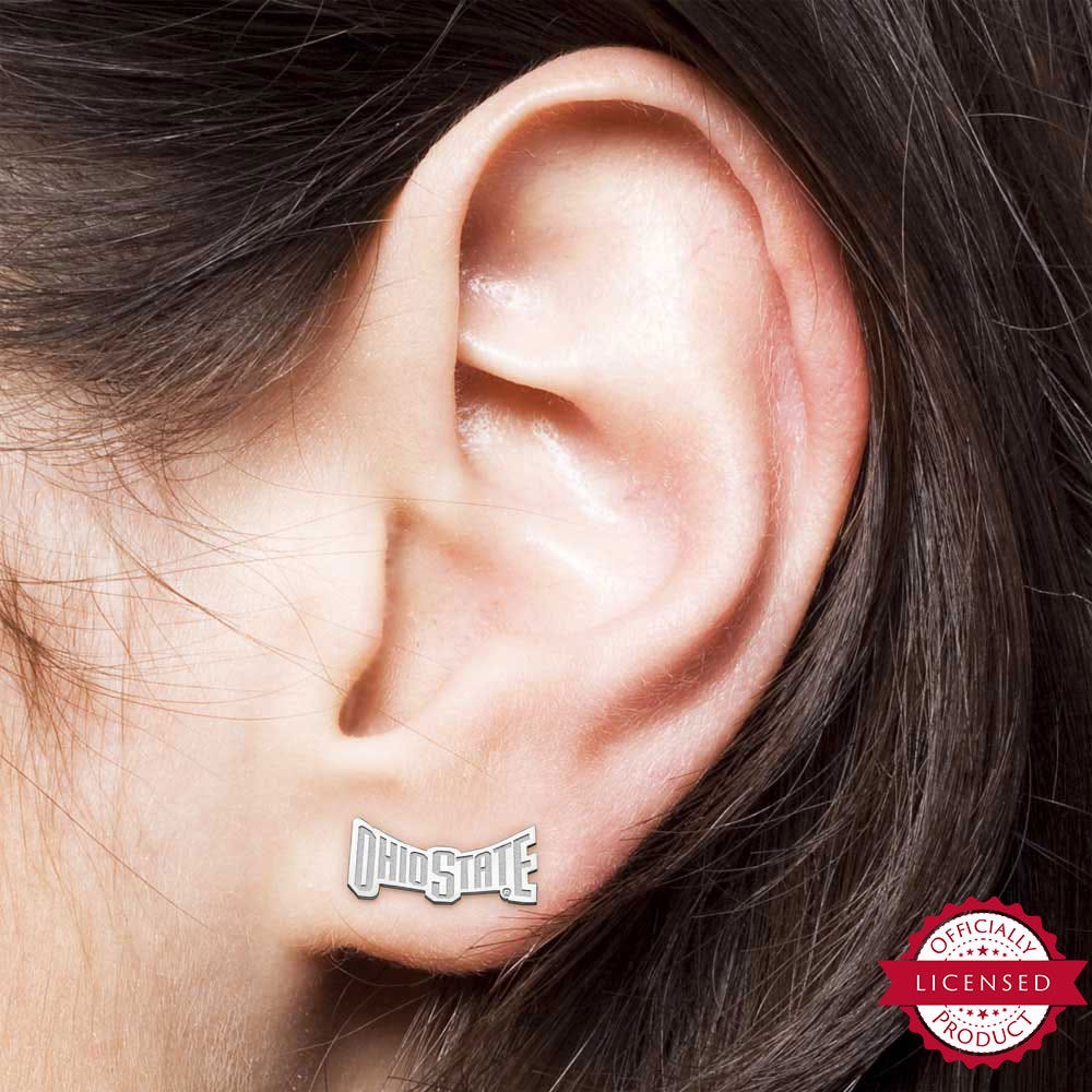 Pair Of Ohio State Banner Earrings