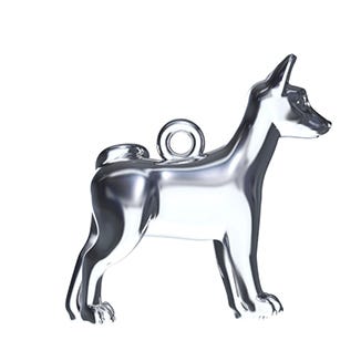 Basenji Dog